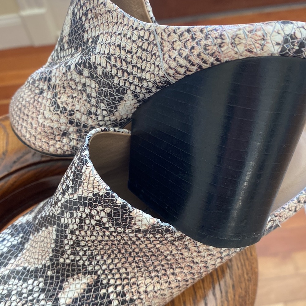 Able Mules - image 5